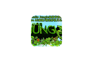 Audio Jungle超级配乐库插图
