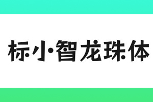标小智龙珠体